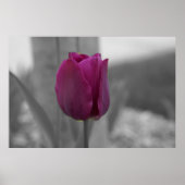 Lila Majestät Poster (Vorne)