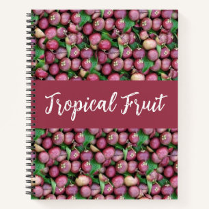 Lila Mangosteen Tropisches Obst Notizblock