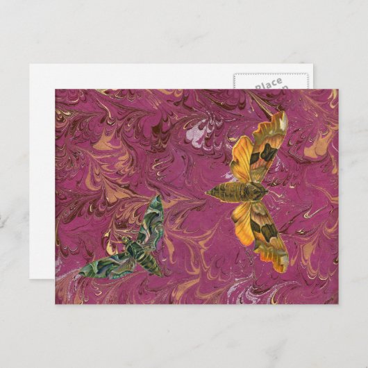 Lila marbile Moth Postkarte (Vorne/Hinten)