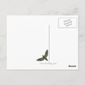 Lila marbile Moth Postkarte (Rückseite)