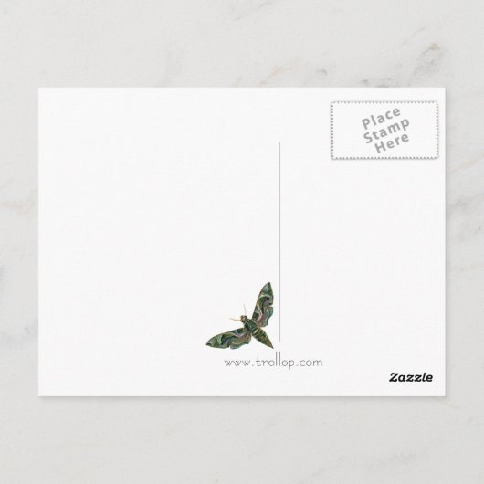 Lila marbile Moth Postkarte (Rückseite)