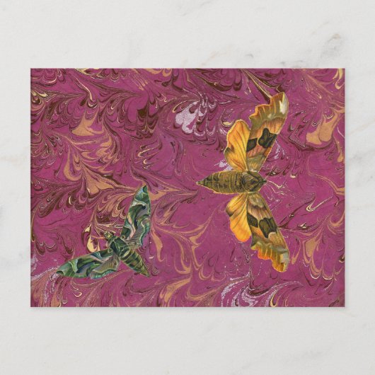 Lila marbile Moth Postkarte (Vorderseite)