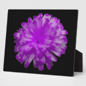 Lila Marigold Plaque Fotoplatte (Seite)