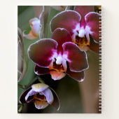 Lila Maroon Orchid Blossoms Botanischer Flur Notizblock (Rückseite)