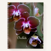 Lila Maroon Orchid Blossoms Botanischer Flur Notizblock (Vorderseite)