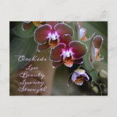 Lila Maroon Orchid Blume Fotografisch Postkarte (Vorderseite)