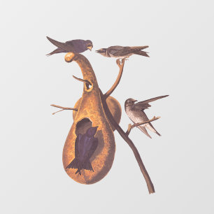 Lila Martin Audubon Bird Family und Gourd Zuhause Fensteraufkleber