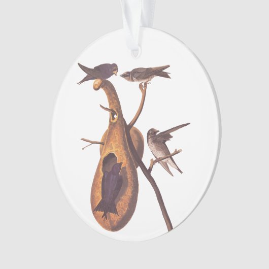 Lila Martin Audubon Bird Family und Gourd Zuhause Ornament (Vorderseite)