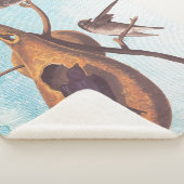 Lila Martin Audubon Bird Family und Gourd Zuhause Sherpadecke (3/4)