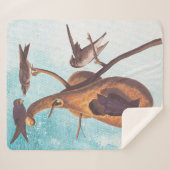 Lila Martin Audubon Bird Family und Gourd Zuhause Sherpadecke (Vorderseite (Horizontal))