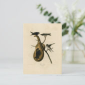 Lila Martin Bird Illustration Postkarte (Stehend Vorderseite)