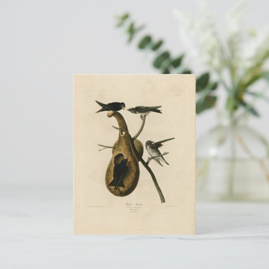Lila Martin Bird Illustration Postkarte (Stehend Vorderseite)