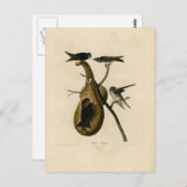 Lila Martin Bird Illustration Postkarte (Vorne/Hinten)