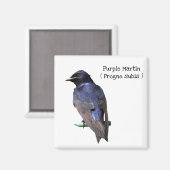 Lila Martin Magnet (Vorderseite/Rückseite)