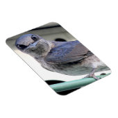 Lila Martin Magnet (Rechte Seite)