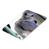 Lila Martin Magnet (Linke Seite)