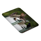 Lila Martin Mates Magnet (Rechte Seite)