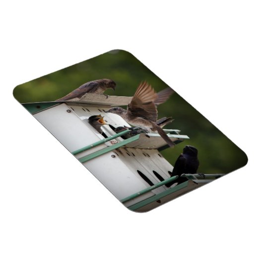 Lila Martin Mates Magnet (Rechte Seite)