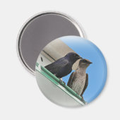 Lila Martin Mates Magnet (Vorderseite/Rückseite)