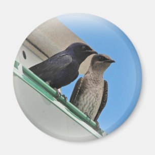 Lila Martin Mates Magnet