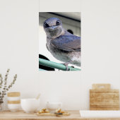 Lila Martin Poster (Küche)