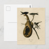 Lila Martin von Audubons Vögeln von Amerika Postkarte (Vorne/Hinten)