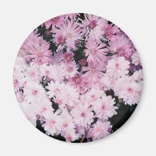 lila Mäuse Magnet (Vorne)