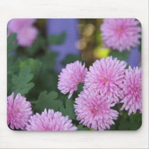 lila Mäuse Mousepad