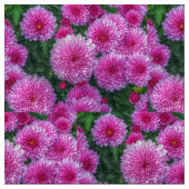 Lila Mäuse Stoff (Nahaufnahme)