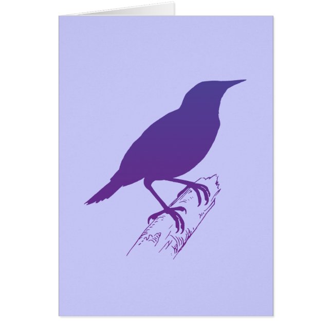 Lila Meadow Lark (Vorne)