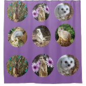 Lila Meerkat Collage, Duschvorhang (Vorderseite)