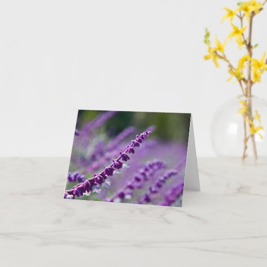 Lila mexikanischer Salbei Karte (Gelbe Blume)