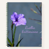 Lila mexikanisches Petunia Bloral individuell anpa Notizblock (Vorderseite)