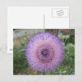 Lila Milchdistel Postkarte (Vorne/Hinten)