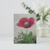 Lila Mohnblume Blume DIY Postkarte (Stehend Vorderseite)