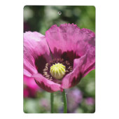 Lila Mohnklammer Mini Klemmbrett (Rückseite)