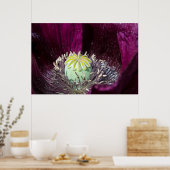 Lila Mohnplakat Poster (Küche)