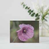 Lila Mohnpostkarte Postkarte (Stehend Vorderseite)