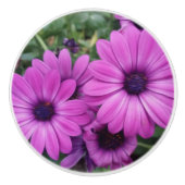 Lila Molkereien Keramikknauf (Vorderseite)