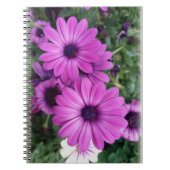 Lila Molkereien Notizblock (Vorderseite)