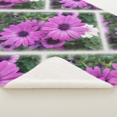 Lila Molkereien Sherpadecke (3/4)