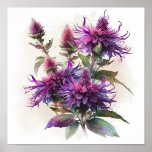 Lila Monarda Blüten Kunst Druck Poster