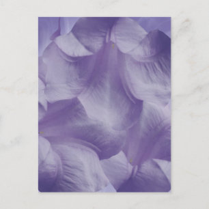 Lila Moon Blume Petals Postkarte