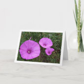 Lila Morgenruhm, engstirnige, bindende Wildblumen Karte (Vorderseite)