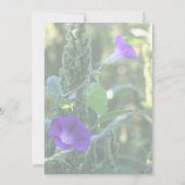 Lila Morning Glory Blume Party Einladung (Rückseite)