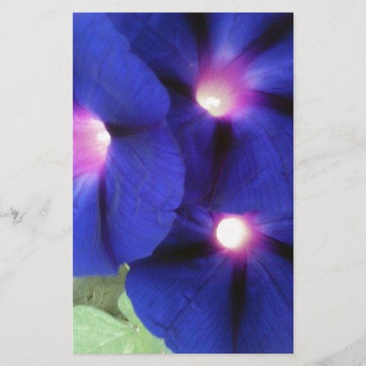 Lila Morning Glory Blume Stationery Briefpapier (Vorderseite)