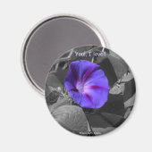 Lila Morning Glory-Magnet Magnet (Vorderseite/Rückseite)