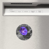 Lila Morning Glory-Magnet Magnet (In Situ (Geschirrspüler))