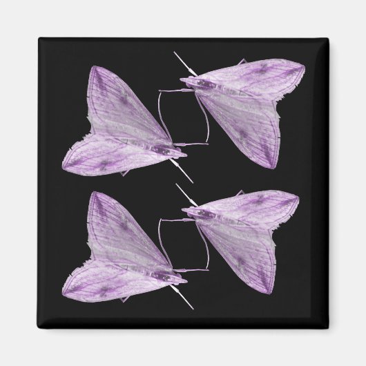 Lila Moth Art Magnet (Vorne)