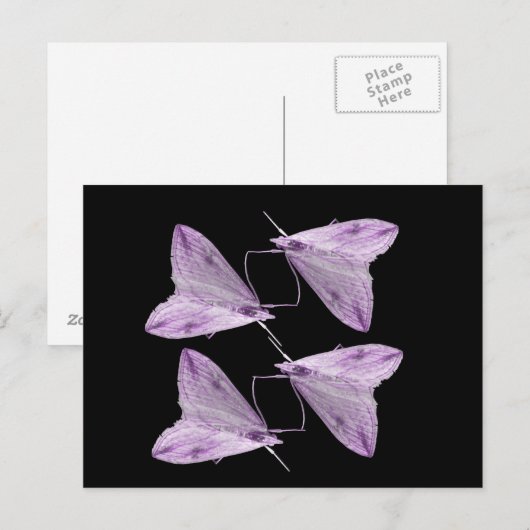 Lila Motion Art Postkarte (Vorne/Hinten)